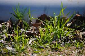 Уже с завтрашнего дня в Латвии начнет теплеть