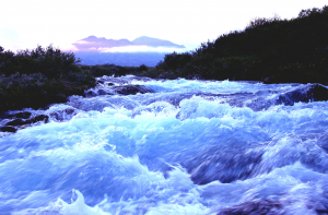 Река как кофе: водоемы Латвии чудовищно загрязнены лекарствами