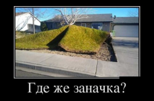 Подборка демотиваторов (15 фото)