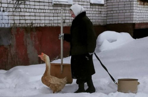 Тем временем в России (33 фото)