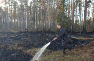Под Адажи жителю на участок прилетел снаряд латвийской армии