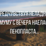 Анекдоты и черный юмор