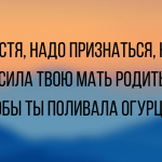 Анекдоту про дачу