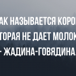Анекдоты про взрослых в конце недели