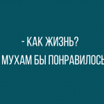 Лучшие новые анекдоты за день