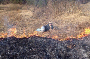 Ну зачем так фоткаться?