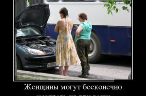 Свежие демотиваторы-приколы (19 фото)