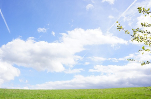 Температура воздуха сегодня местами повысится до 20 градусов