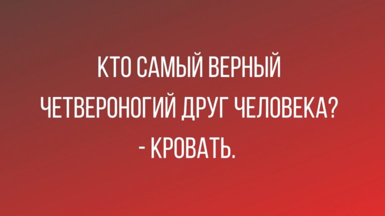 15 анекдотов для настроения