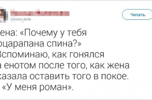 Правдивые твиты о семейной жизни (17 штук)