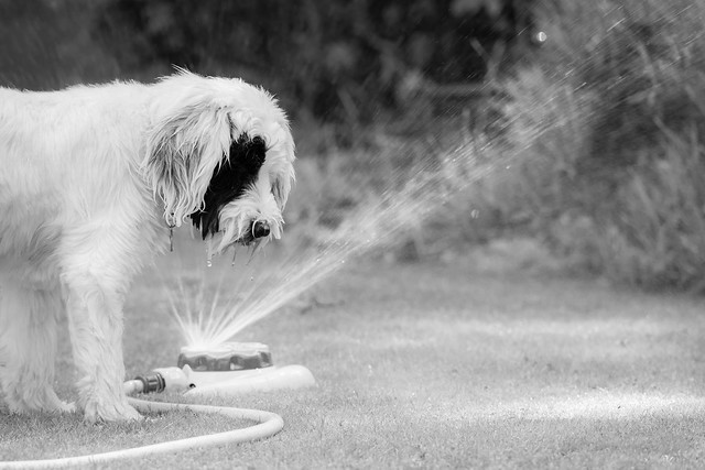 Достаем майки и шорты: в Латвии ожидается жара до +32 градусов