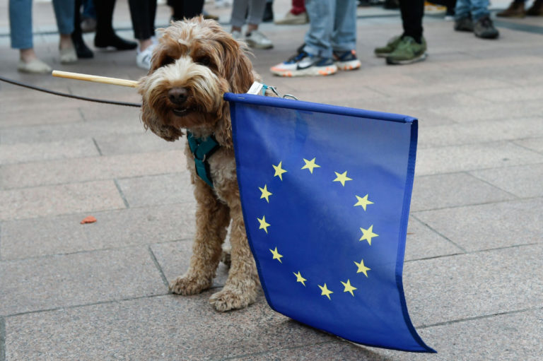 Европа выбирала общий парламент. Зачем и кому он нужен?