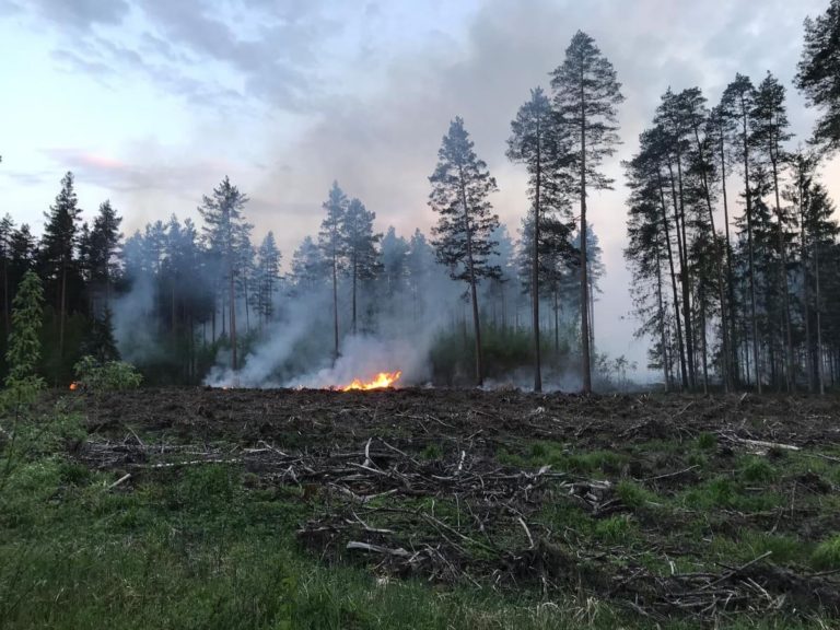 В Кандавской волости пожар: взрываются снаряды времен войны