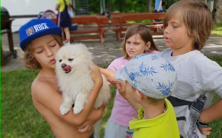 «Зеленая лампа»: поможем подарить праздник детдомовцам и «особым» детям