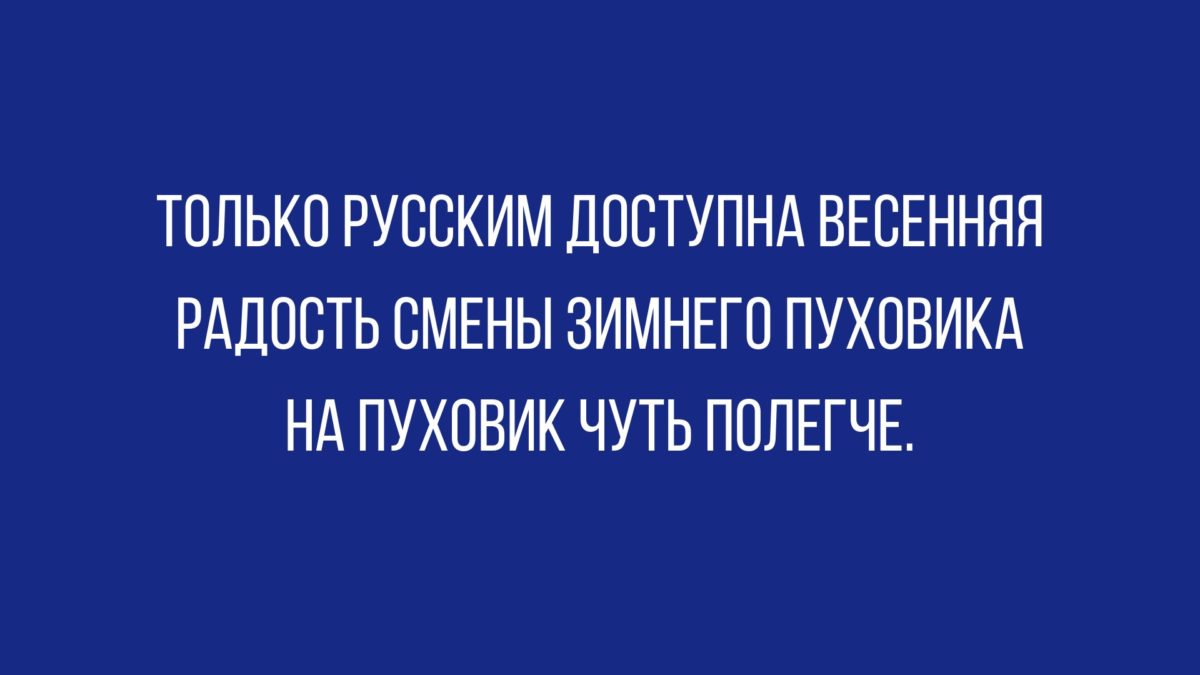 Анекдот дня