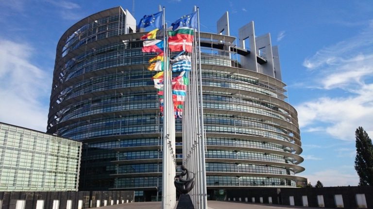 Как голосовать на выборах в Европарламент — подробная инструкция