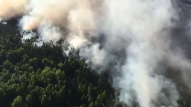 Пожар в Олайнском крае продолжается уже больше суток