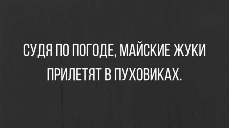 Подборка анекдотов посмешней