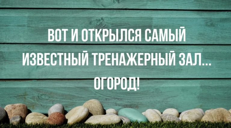 Смешные анекдоты на выходные