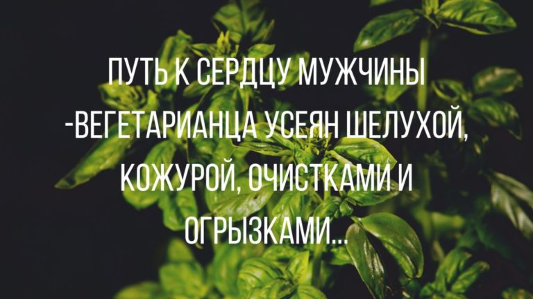 Анекдоты — смешные, новые, лучшие 5 мая