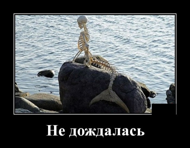 Новые демотиваторы 2019 года