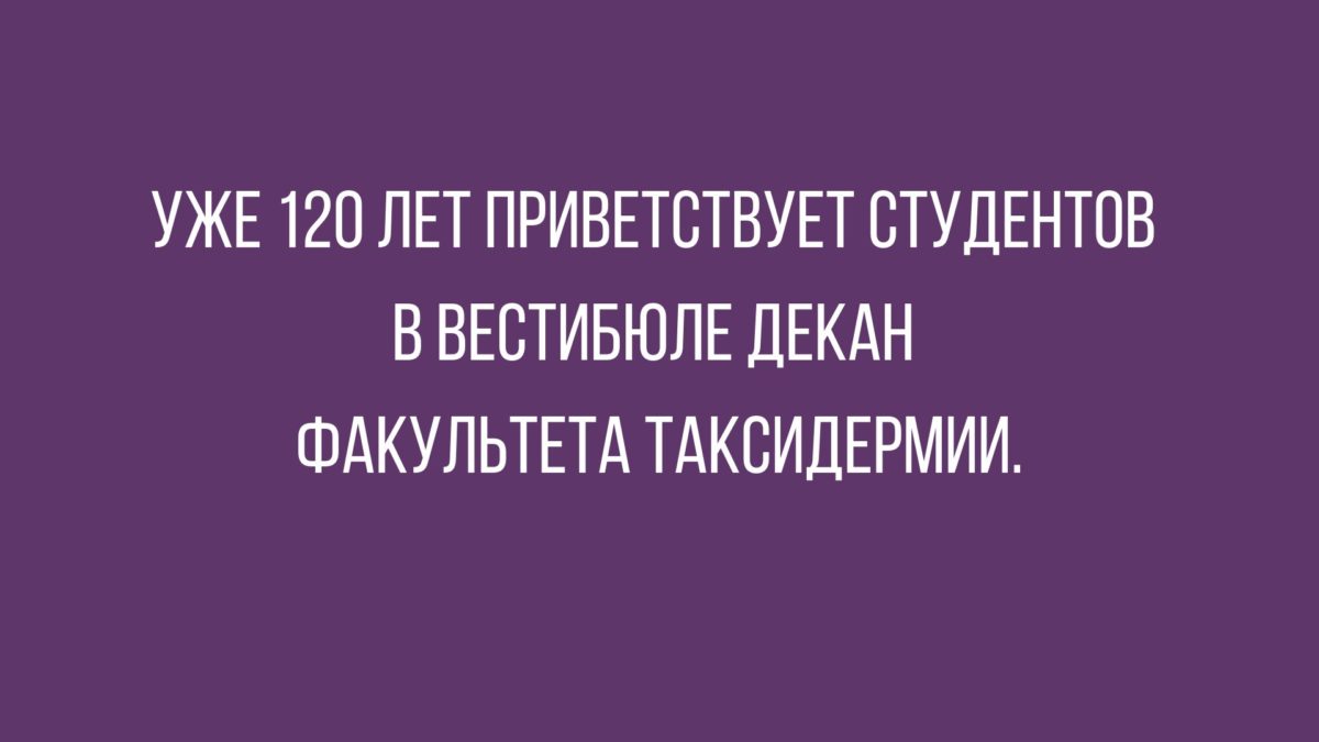 черный юмор