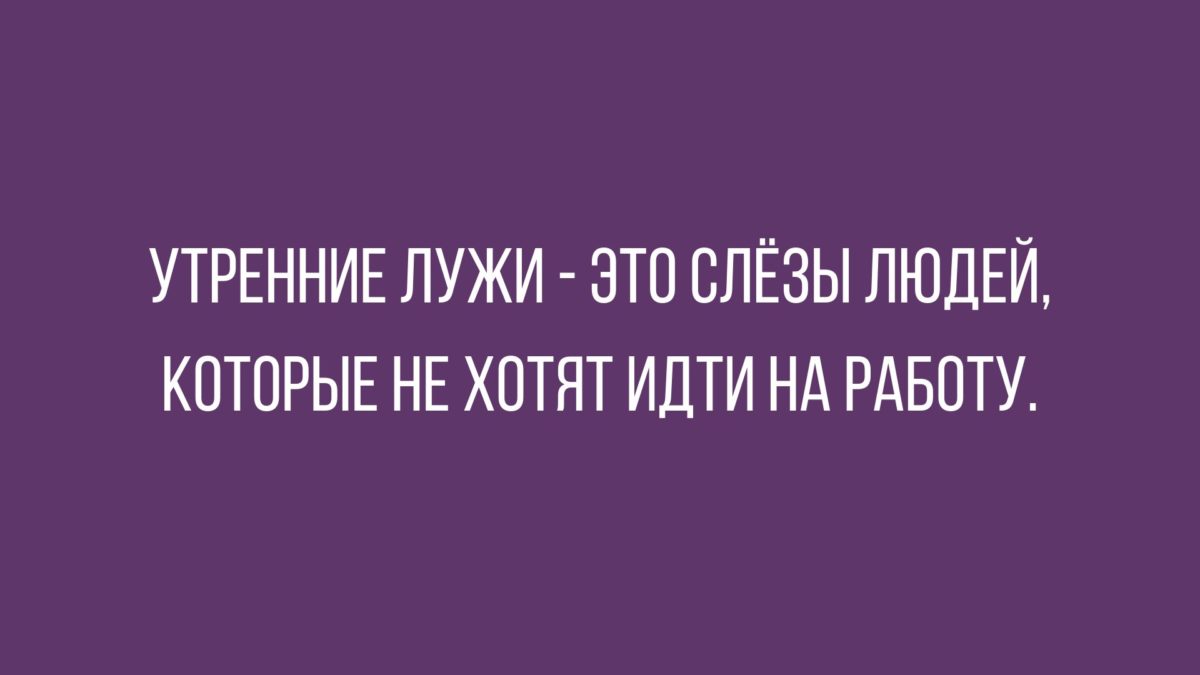 анекдоты и юмор