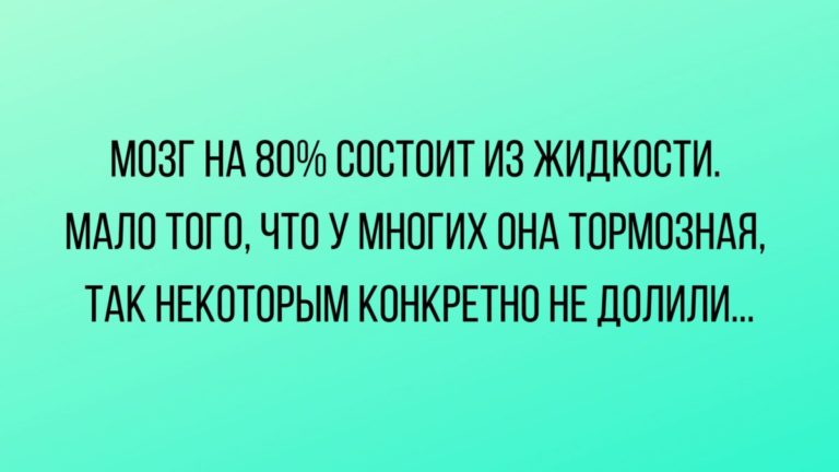 анекдоты дня