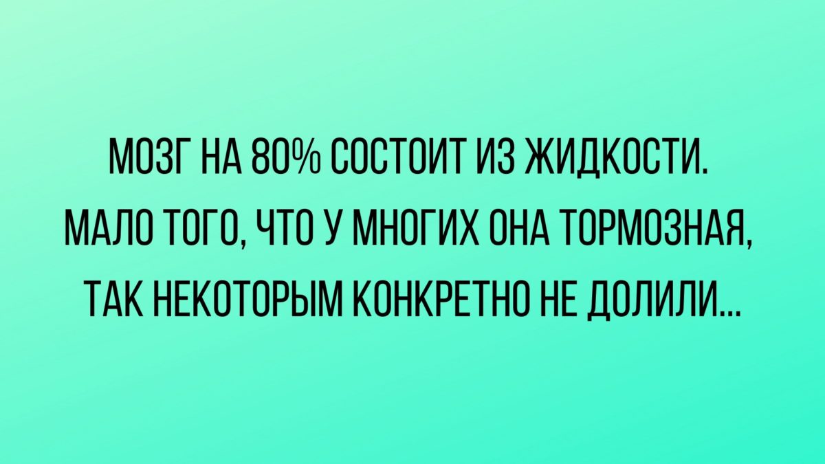 анекдоты дня