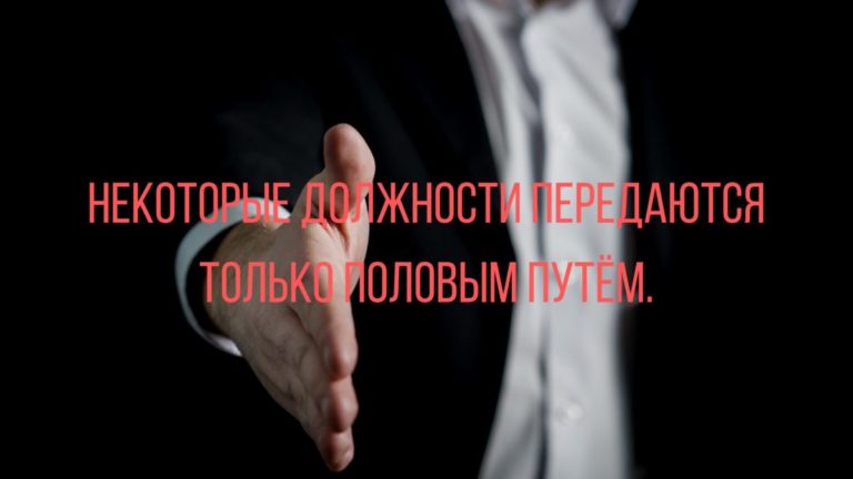 анекдоты дня