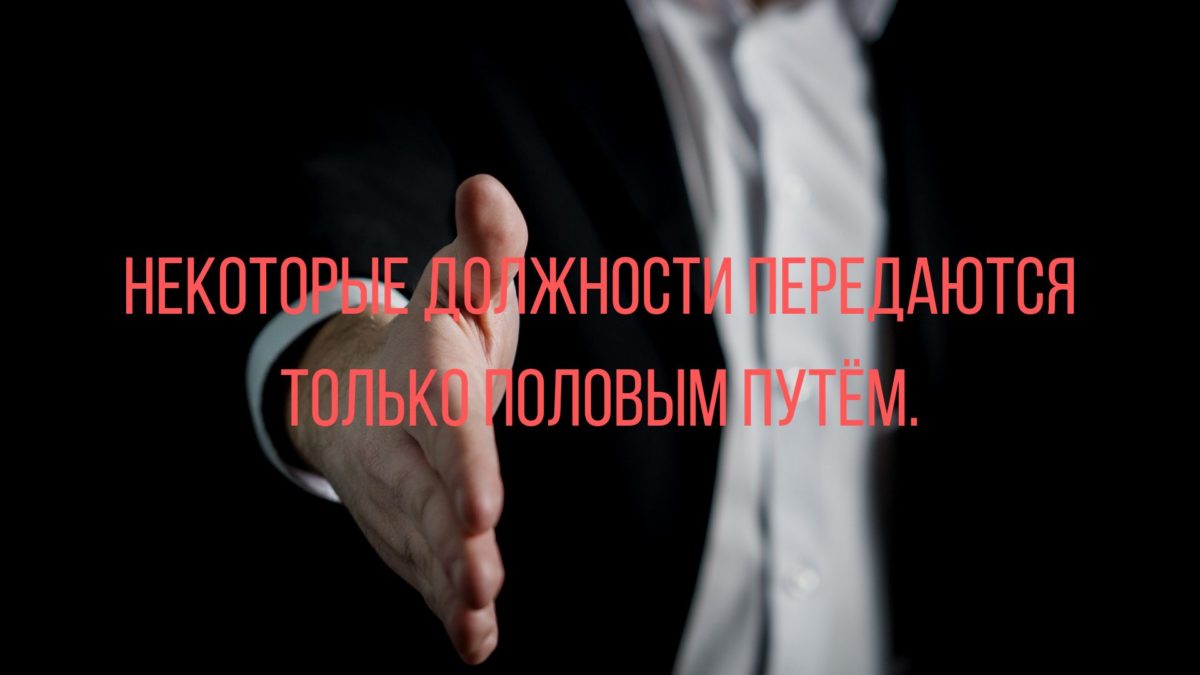 анекдоты дня