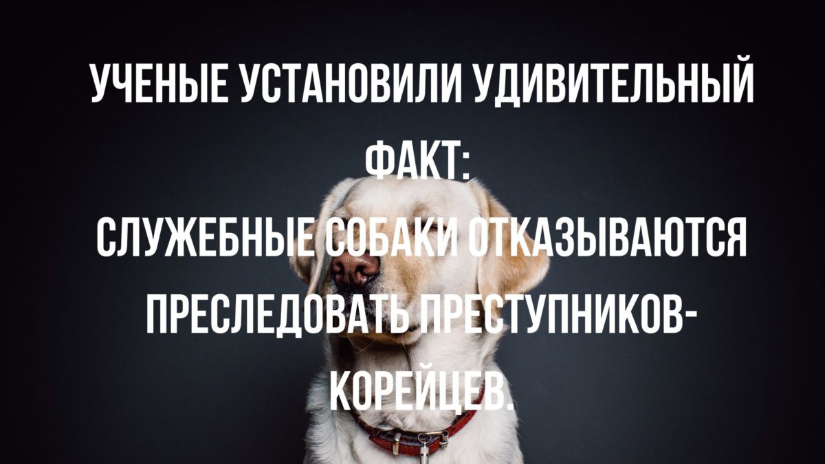 анекдоты про национальности