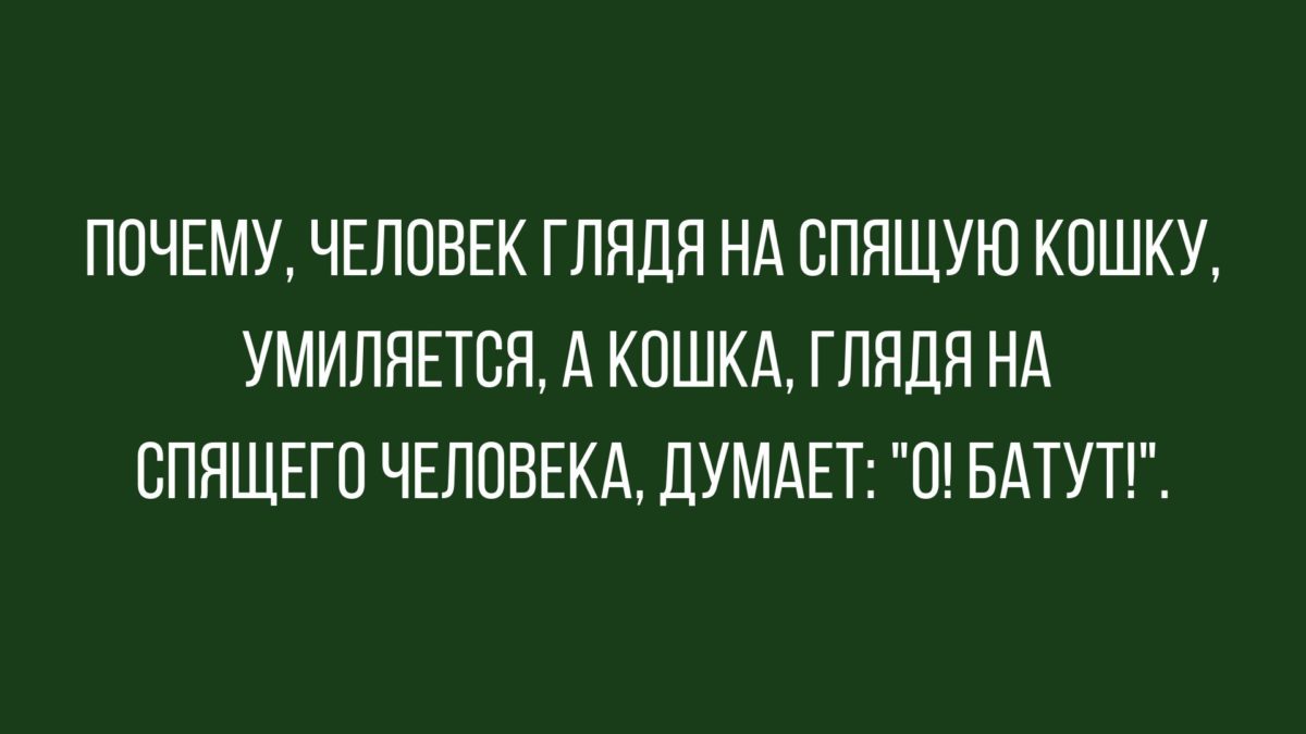 Анекдоты дня