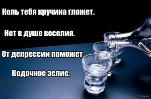 Алкогольные шутки и юмор (30 фото)