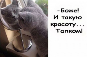 Всяко-разно для хорошего настроения!
