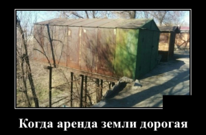 Новые демотиваторы (30 фото)