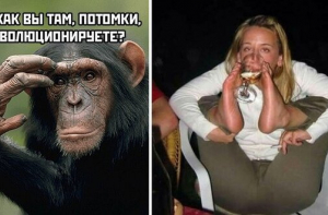 Картинки и смешные комментарии для настроения