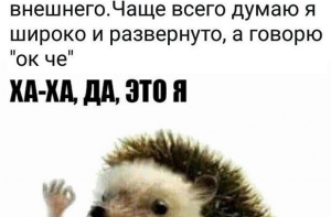 Переписки из социальных сетей