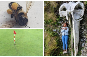 27 фотографий необычных вещей и редких явлений, которые вы увидите впервые