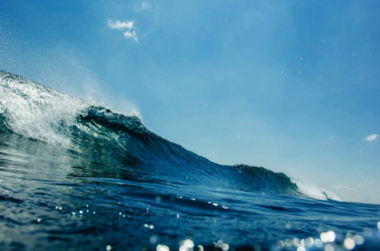 Ныряем? Вода в море прогрелась до 20 градусов
