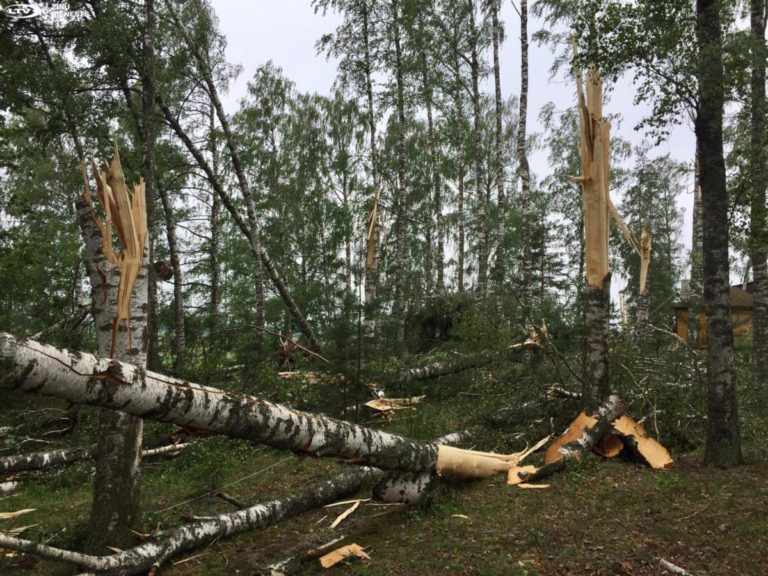 Дети были в панике: буря уничтожила баню