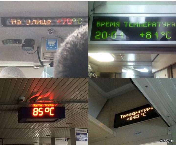 Коротко о том, почему мы не любим лето