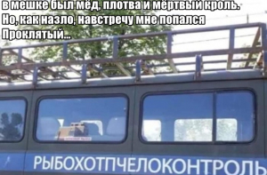 Пятничная подборка картинок