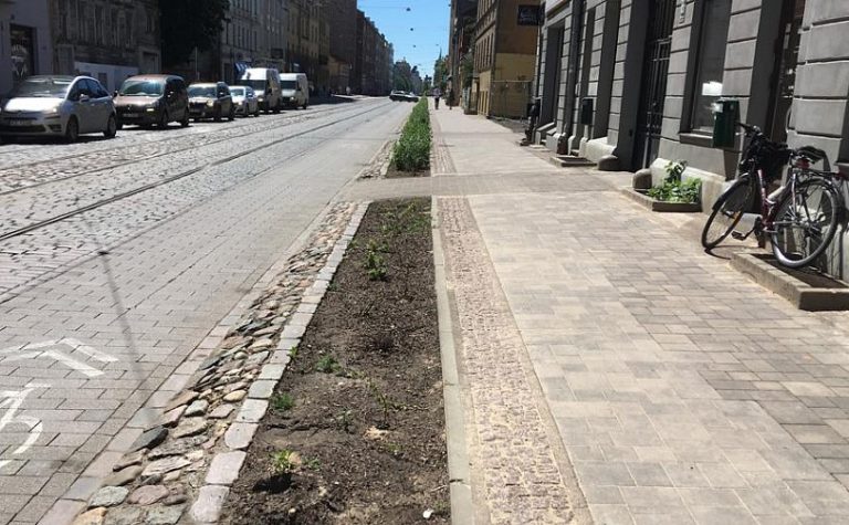 В Рижской думе пообещали решить вопрос с засохшими растениями на ул. Барона