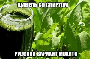 Алко шутки на выходные