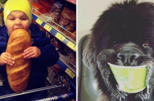 15 смешных фото, доказывающих, что голод совсем «не тётка»