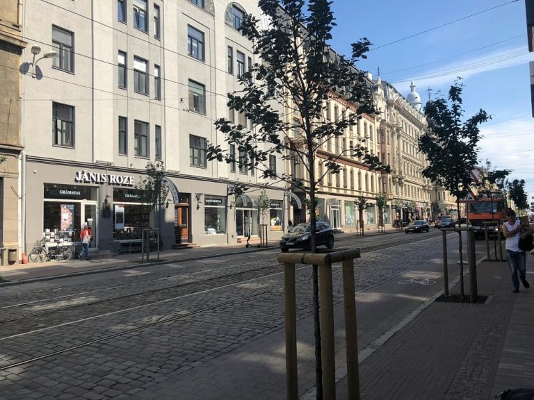 Активисты потребовали сохранить растения на улице Барона, но их все равно убрали