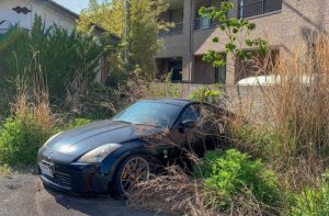 Как сейчас выглядит Фукусима (13 фото)