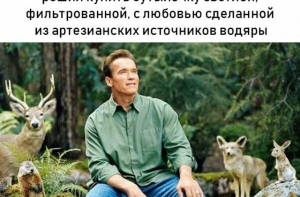 Картинки с смешными надписями