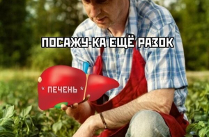 Картинки с подписями